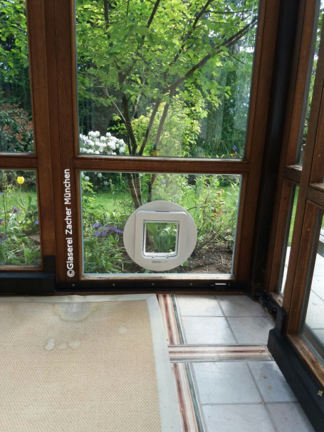 Glaserei Zacher Katzenklappe Sprossenfenster