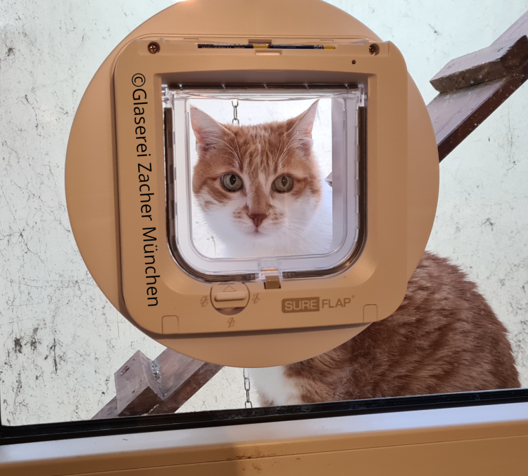 Glaserei Zacher Katzenklappe Kellerfenster