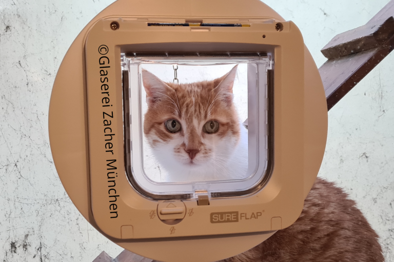 Glaserei Zacher Katzenklappe Isolierglas Sureflap